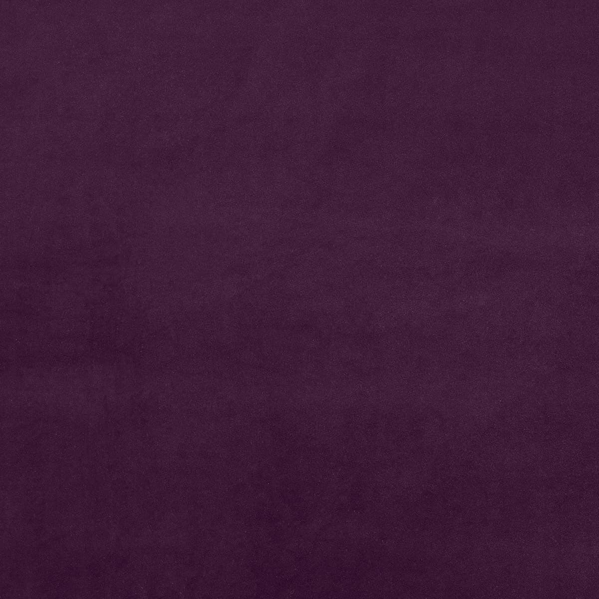 Glauco - Purple