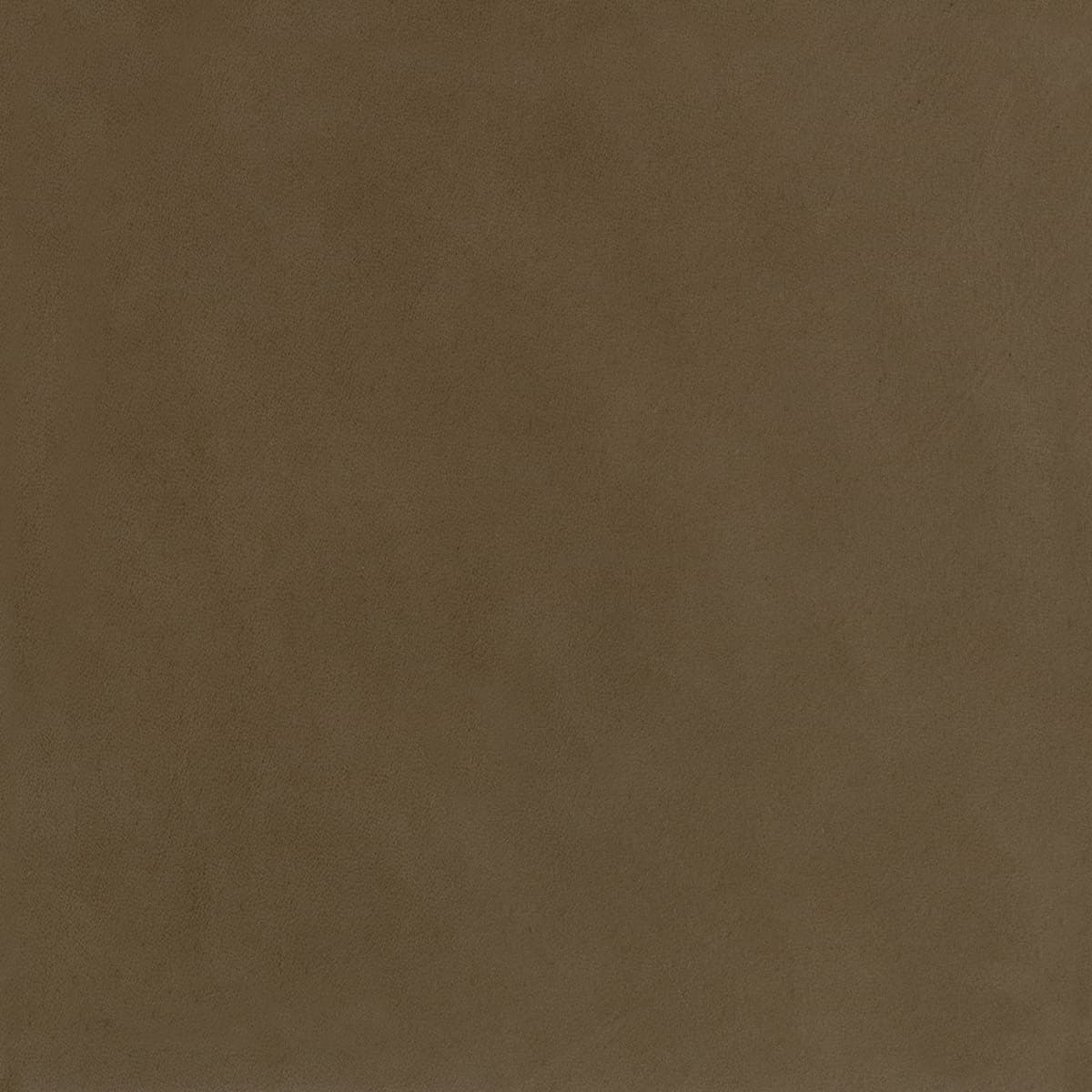 Nevada - Mud