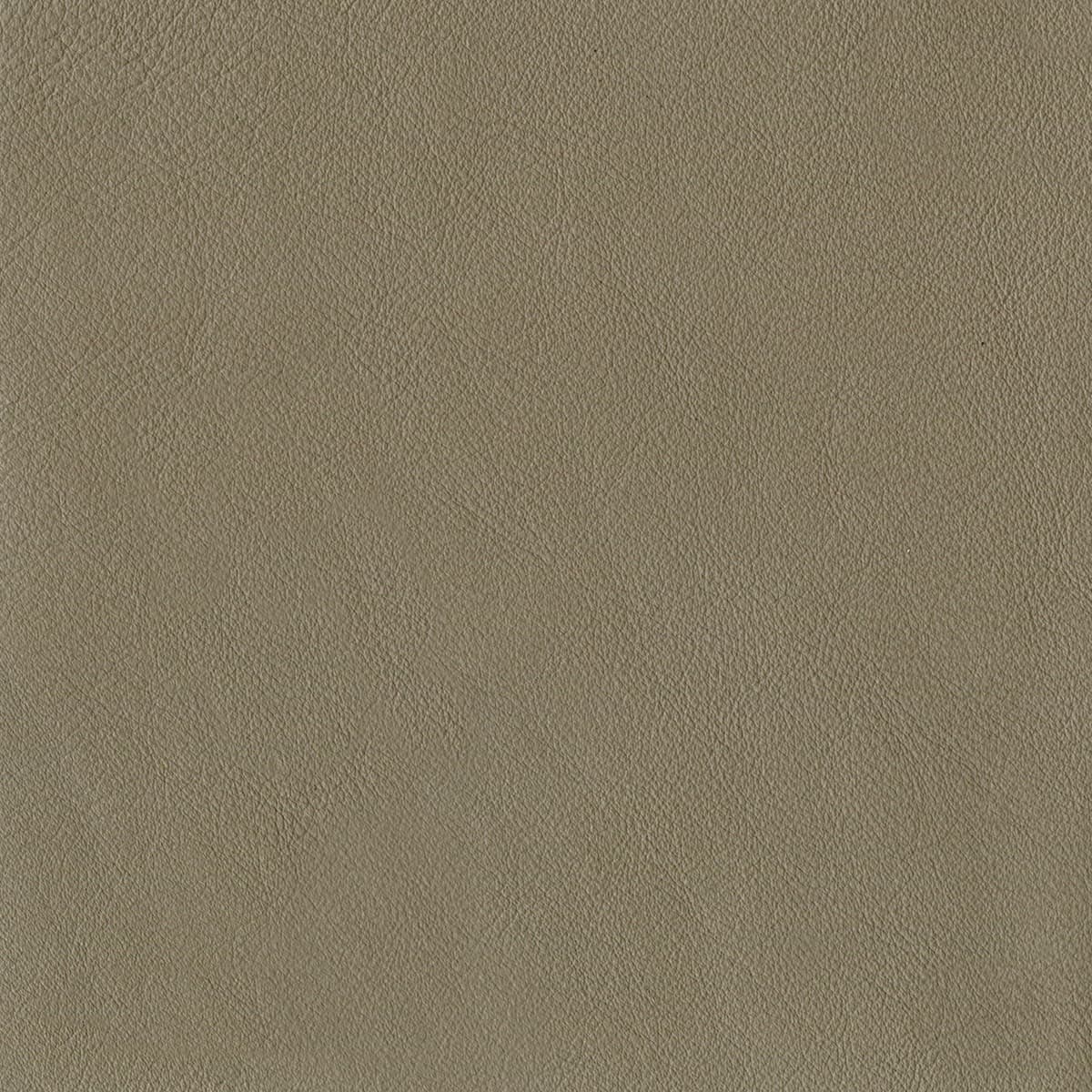 Oregon - Grey