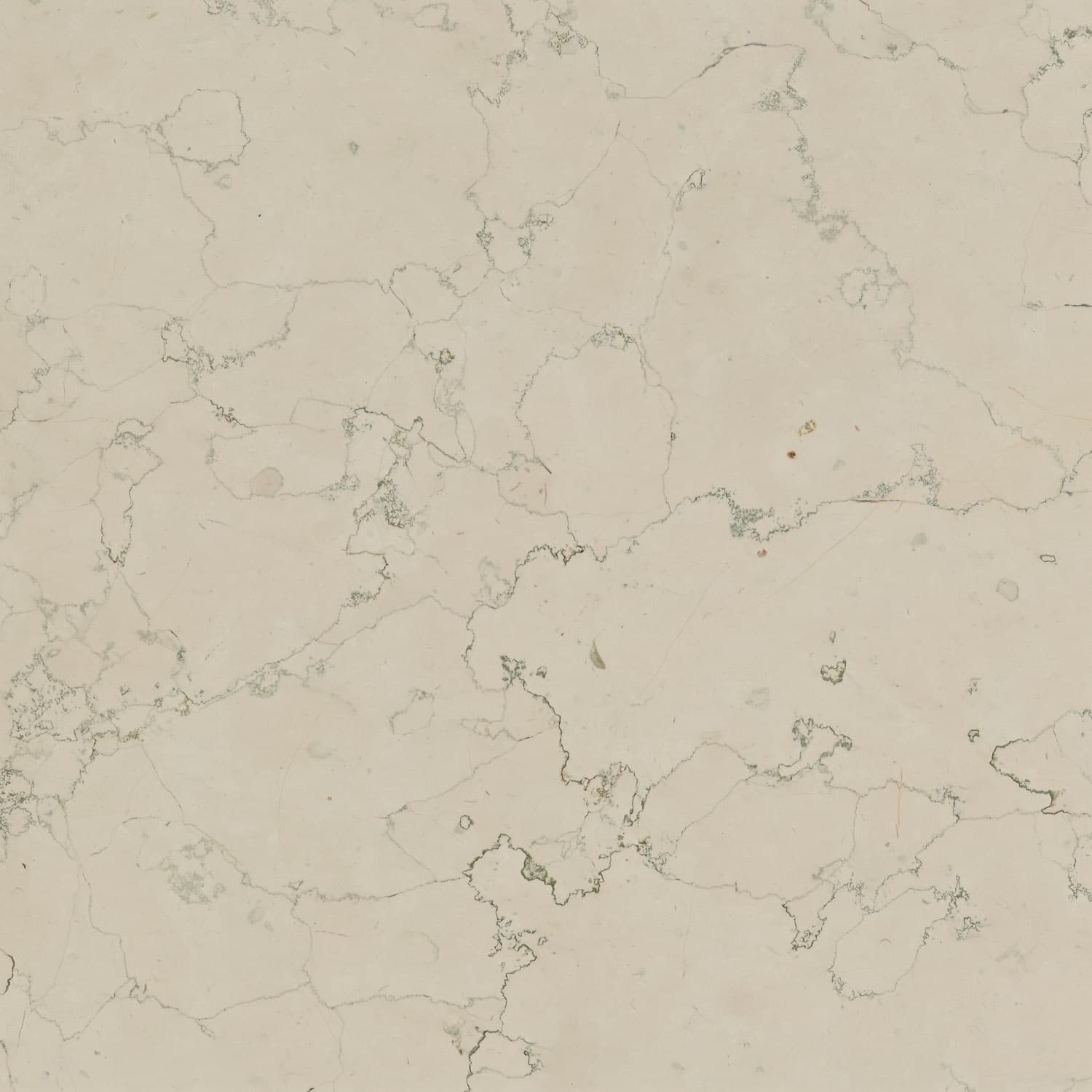 Bianco Antico
