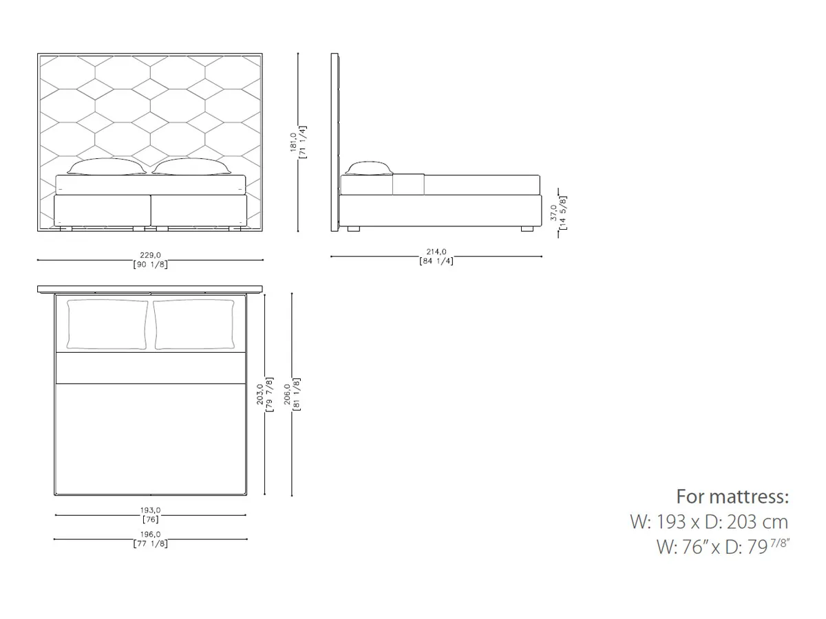 Oyster Bed-tec-3801