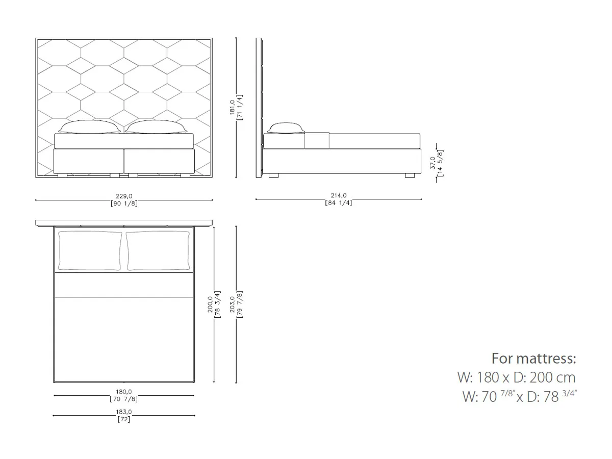 Oyster Bed-tec-550