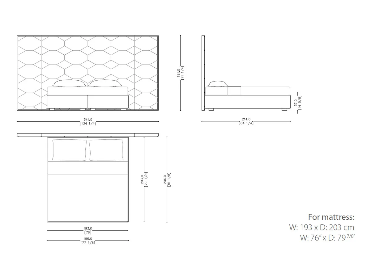 Oyster Bed-tec-3805