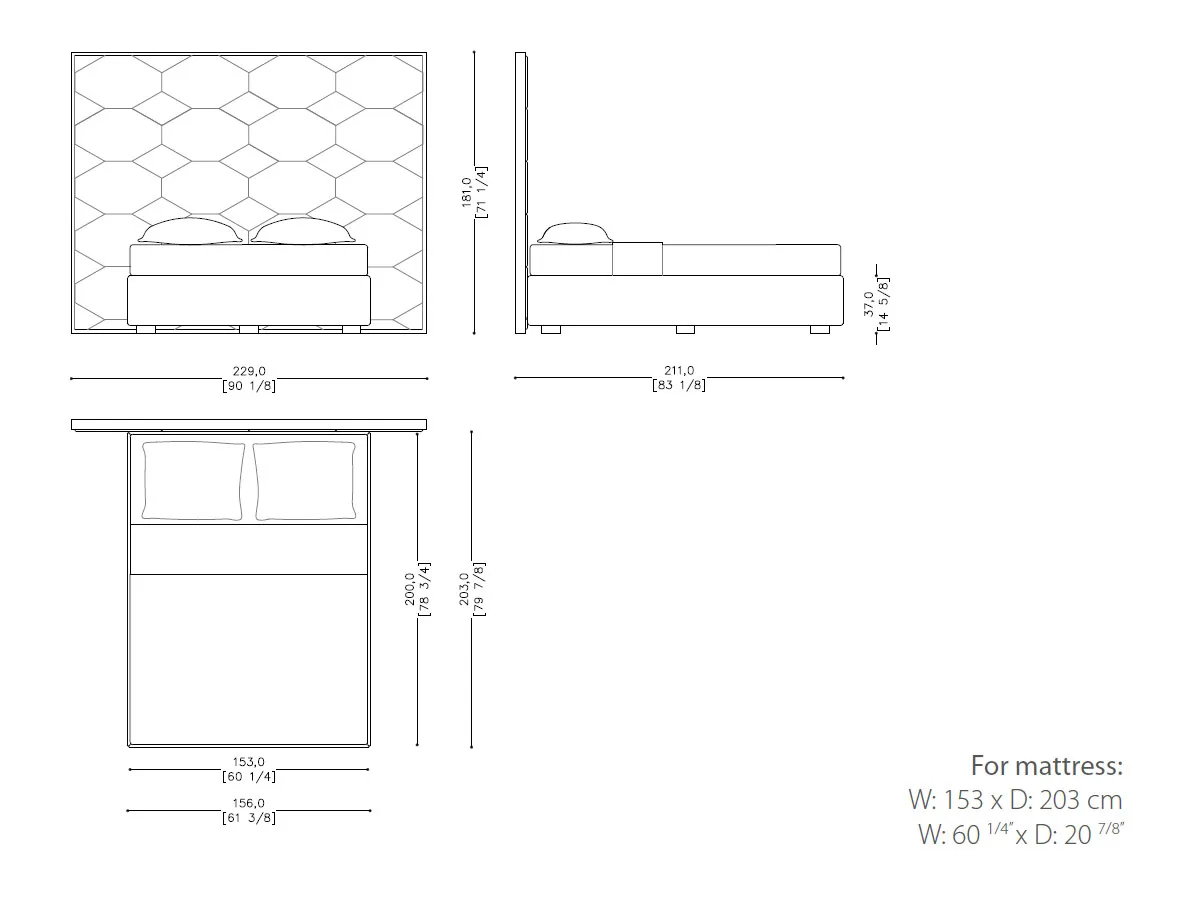 Oyster Bed-tec-3802