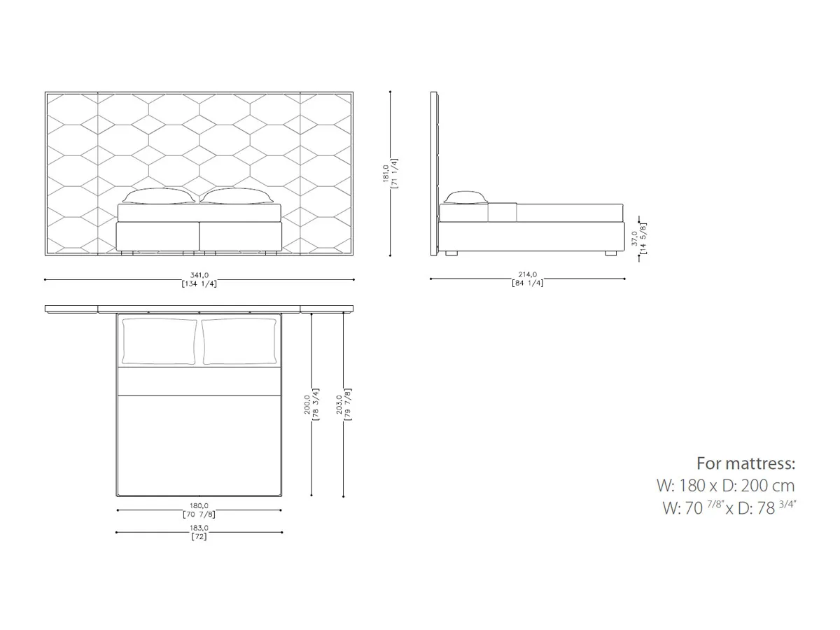 Oyster Bed-tec-3803